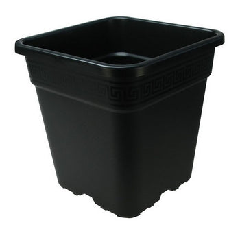 Square Pot